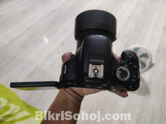 Cannon 60D with 50 mm lens